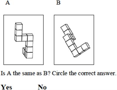 Sex Differences in the Performance of 7–12 Year Olds on a Mental Rotation Task and the Relation With Arithmetic Performance